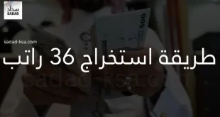 طريقة استخراج 36 راتب